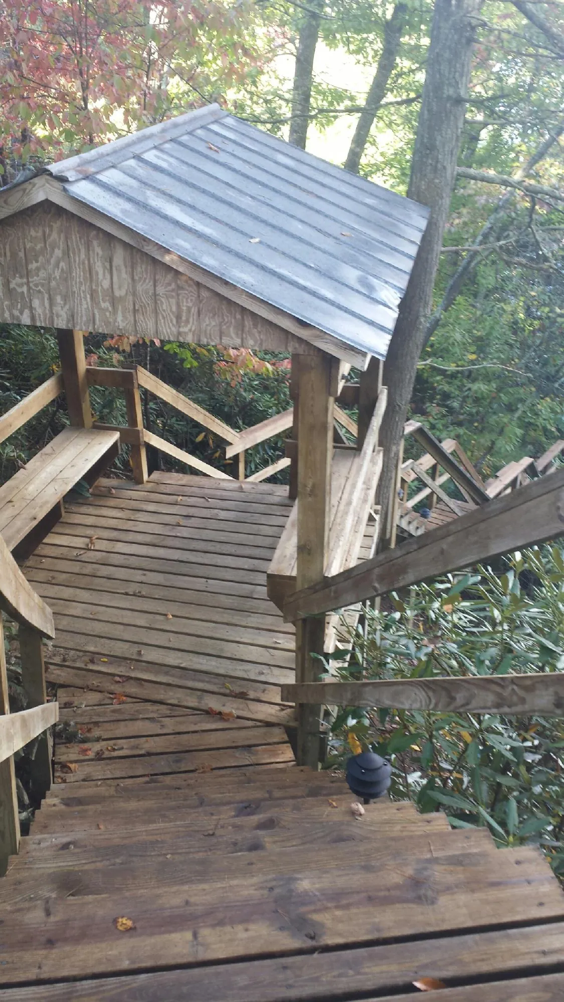 Metal roofed shelter over wooden steps on a wooded walkway — Skylight Repair & Installation work by our crew in Woodburn
